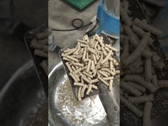 Flat Biomass 800kg/H 1000kg/H Sawdust Pellet Mill